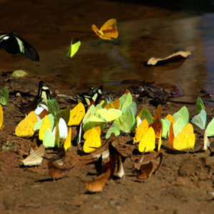 ESTANCIA MÁGICA 2 - 3D/2N
